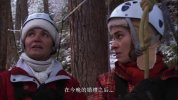 拉字至上