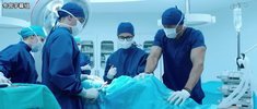 临床13区.2022.8集全.豆瓣评分7