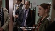 副总统