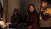 草木人间（2023）