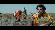 烈杀令 Saloum（2021）中文字幕