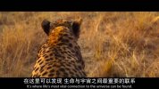 我们的浩瀚宇宙