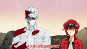 工作细胞 1-2季全集+真人电影+剧场版【全系列】日语中字