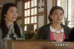 发醇家族.2011.24集.国语版.豆瓣评分6