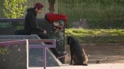 犬犬风尘 (2019) 中文字幕 1080P [高清收藏版]