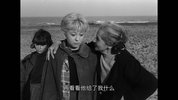大路.1954.意大利中字.豆瓣评分8