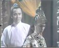 W武侠帝女花