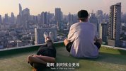 行走天际：极限爱情故事  (2024)