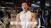 健身新手入门训练经验视频课程
