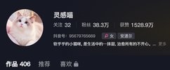萌宠赛道全平台运营指南，精准粉丝高客单变现