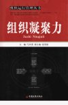 组织凝聚力_12189296