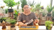 【老板必备】实体门店超常规营销获客，218套实体店落地方案解析（23节课）