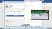 2024计算机二级MS Office教学课程 (含资料)