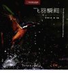 飞羽瞬间_12547942