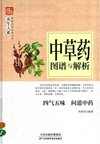 《中草药图谱与解析》中草药鉴别 四气五味问道中药 中医爱好者必备[pdf]