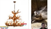 AI技术+跨境电商全环节应用课，从运营到变现的全指南