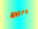 幼儿园教学课件合集，多种教案与课件资源包