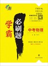 中考学霸必刷题