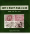 猪病诊断彩色图谱与防治_11731273_宜长和，...