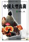 中国大型真菌_11169018