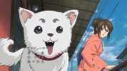 【日漫】银魂.全367集+剧场版+真人电影版+漫画.日语简中注解特效字幕.LAC字幕组.收藏版